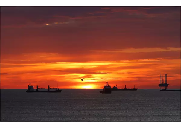 A seagull flies by as cargo ships and an offshore supply vessel lie at anchor at sunrise