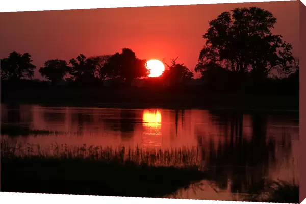 The sun sets over the Okavango Delta