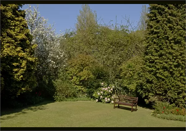 Urban garden in spring Kent, UK