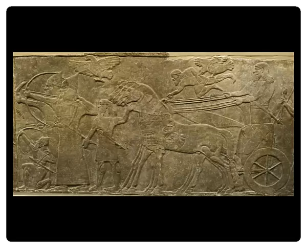 A scultured relief from the walls of the North West Palace in Nimrud the Assyrian