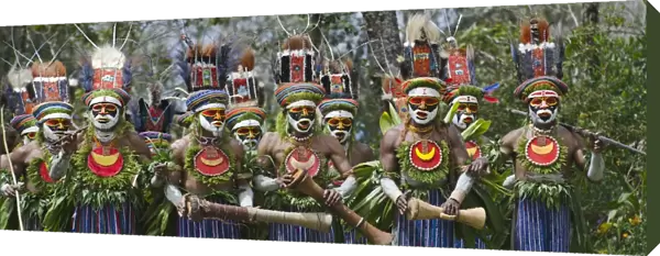 Tribal performers from the Anglimp District in Waghi Province Western Highlands Papua