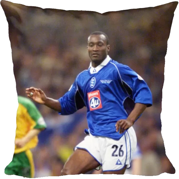 Birmingham City vs. Norwich City: Olivier Tebily's Crucial Moment in the 2002 Division One Playoff Final