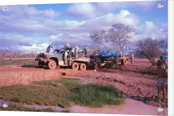 Bluebird transported through the Bush, australia 1963