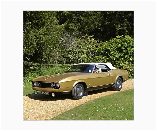 Ford Mustang Convertible 1973 Gold & white