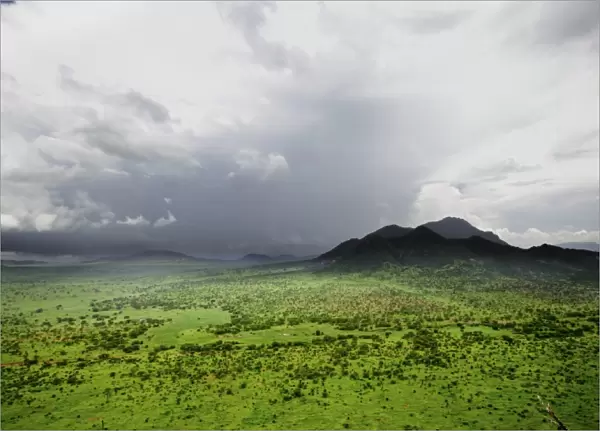 View of savannah habitat, Tsavo West N. P. Kenya, December