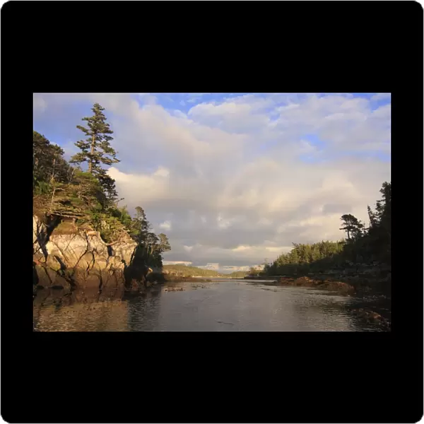 View of coastline and temperate coastal rainforest in evening sunlight, Spider Anchorage, Coast Mountains