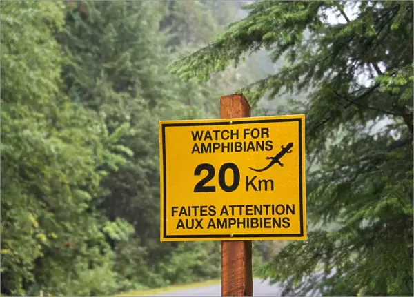 Watch For Amphibians bilingual sign beside road in coniferous forest, Mount Revelstoke N. P