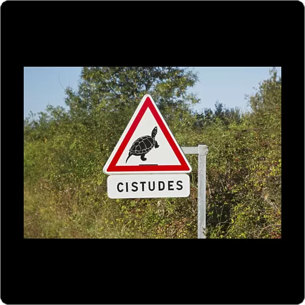 European Pond Terrapin (Emys orbicularis) Cistudes warning sign beside road, Parc Naturel Regional de la Brenne, Indre