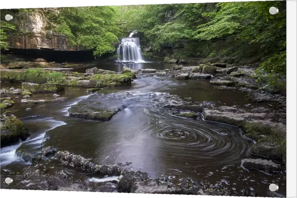 View of waterfall and river, Cauldron Falls, Walden Beck, River Ure, West Burton, Wensleydale, Yorkshire Dales N. P