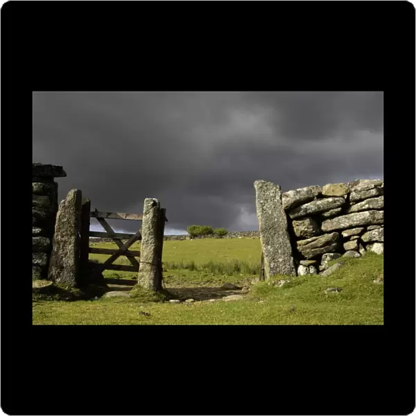 Old gate in drystone wall, with approaching stormclouds, Dartmoor N. P. Devon, England