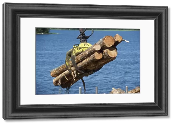 Grapple loading logs onto timber barge, Archipelago Sea, Baltic Sea, Sweden, june