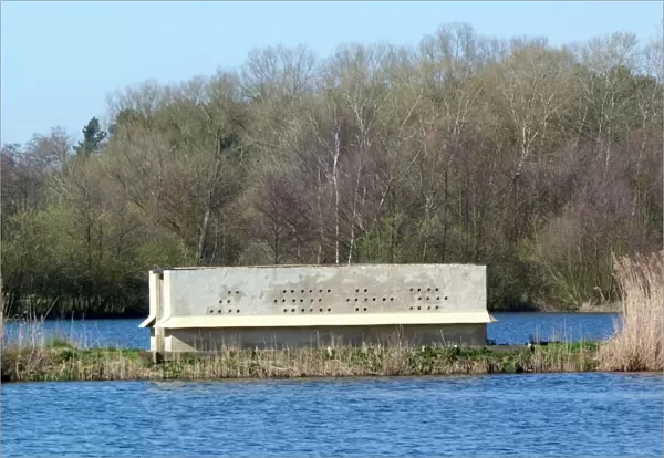 Artificial concrete sand martin nesting block at Lackford Lakes, a Suffolk Wildlife Trust Reserve