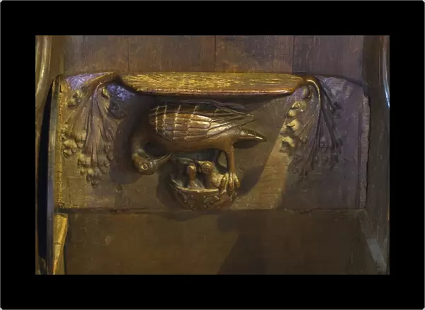 Misericord depicting pelican in her piety, in Medieval Europe pelicans were often depicted giving blood to young as