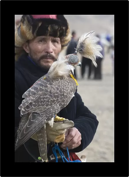 Kazakh hunter with hooded Saker Falcon (Falco cherrug), Eagle Hunters Festival, Bayan-Ulgii, Western Mongolia, october