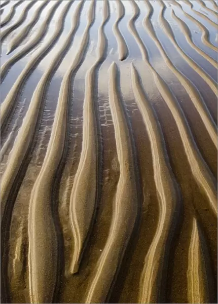Patterns on wet sandy beach at low tide, Northumberland, England, july