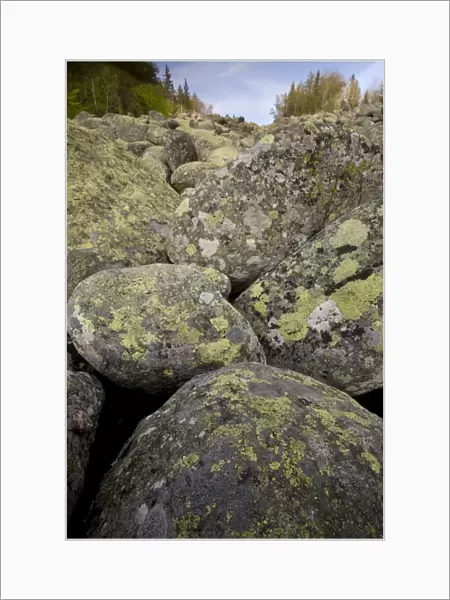 Granite boulders in stone run, peculiar geomorphological phenomenon formed from granite in periglacial conditions