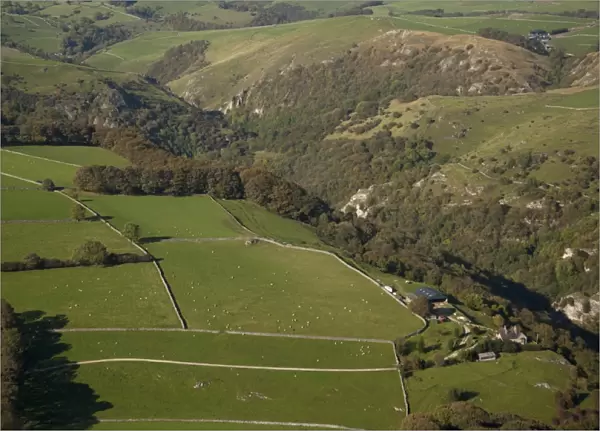 Aerial view of wooded valley, drystone walls and sheep flock in pasture, Dove Dale, White Peak, Peak District