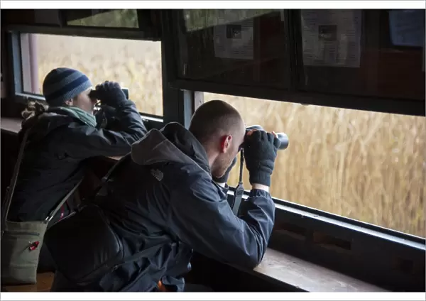 Man and woman with binoculars in hide, Loch of Kinnordy RSPB Nature Reserve, Kingoldrum, Angus, Scotland, november