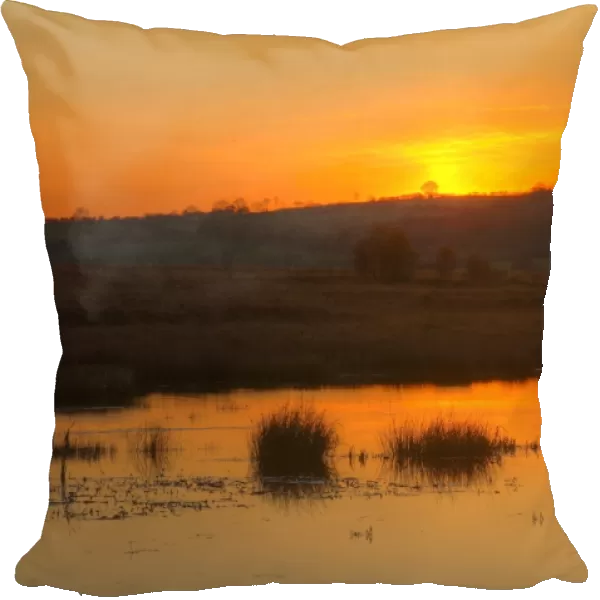 View of pond in raised bog habitat at sunset, Cors Caron National Nature Reserve, Ceredigion, Wales, november