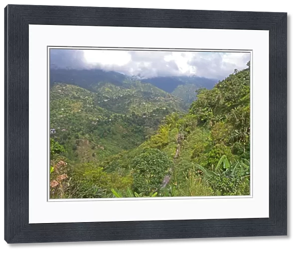 View down over cultivated lower slopes of mountain, Blue Mountains, Jamaica, march
