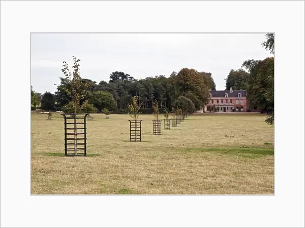 Metal tree protectors, stop livestock from damaging young trees on parkland, in the grounds of Darsham Hall Suffolk