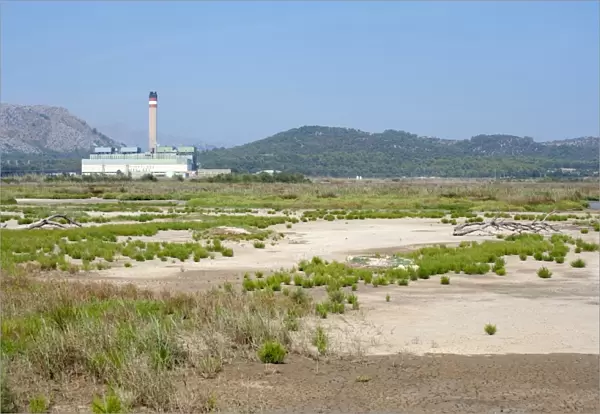 View of marshland habitat with Es Murterar coal-fired powerstation in distance,s Albufera De Mallorca Natural Park