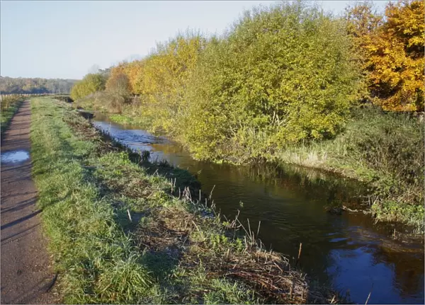 View of path beside river, with recreated meanders on former canalised section of river, River Little Ouse