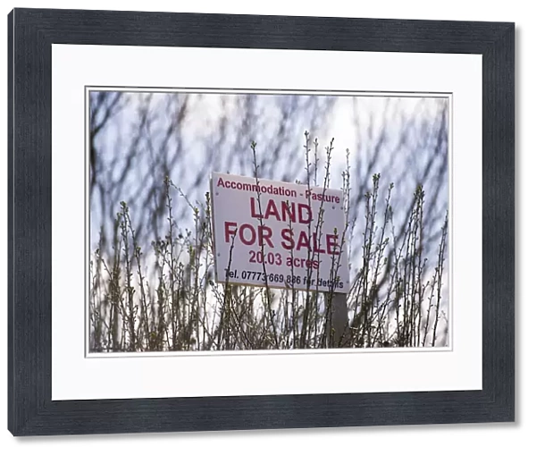Accommodation - Pasture Land For Sale sign, Oulton, Cheshire, England, April