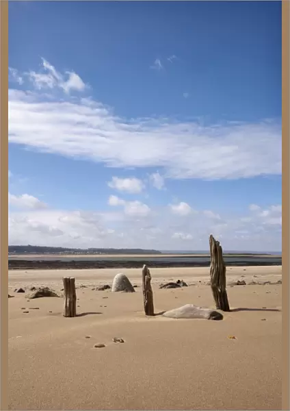 Remains of wooden groynes of tidal defence on beach, looking across River Torridge to Westward Ho