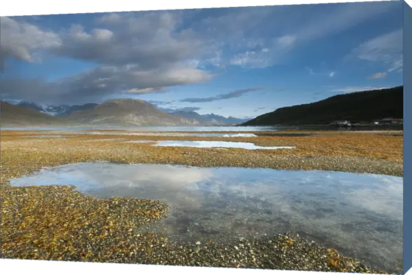 View of fjord during low tide at sunrise, Skibotn, Lyngen Fjord, Troms County, Lapland, North Norway, September