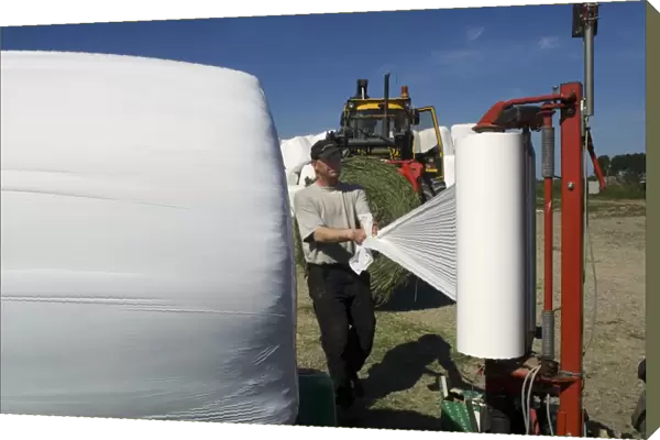 Farmer plastic wrapping round silage bales with mechanical bale-wrapper, Sweden