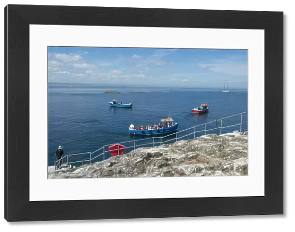 Tourists on boats arriving at island, Staple Island, Outer Farnes, Farne Islands, Northumberland, England, July