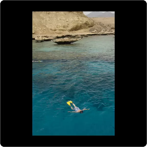 Egypt, Sinai Peninsula, Gulf of Tiran, Sharm El-Sheikh (aka Red Sea Riviera). Snorkeling