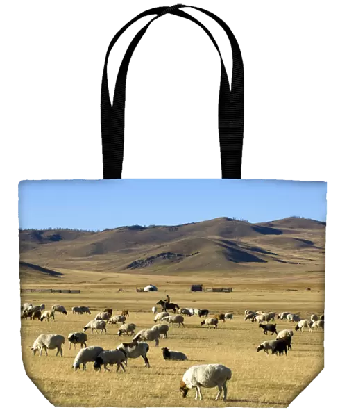 Nomads herding cattle