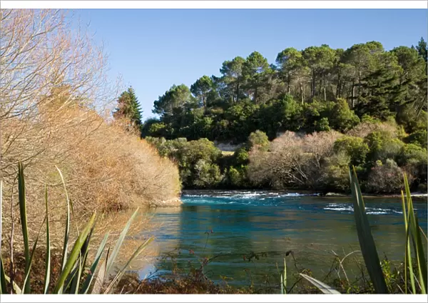 Waikato River above Huka Falls, near Taupo, North Island, New Zealand