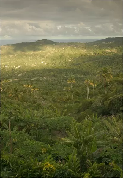 BARBADOS-Inland- Mount Hillaby: Late Afternoon from Barbados Highest Mountain