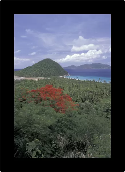 Caribbean, British Virgin Islands View of Tortola