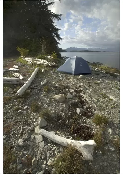 Tent at Keith Island Campsite, Broken Island Group, Pacific Rim National Park Preserve