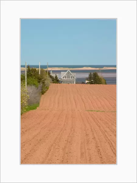 NA, Canada, Prince Edward Island, Springbrook. Field ready for planting and home