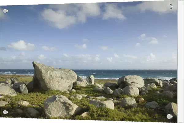 ABC Islands - ARUBA - Noord: Rock Formations along Northeast Aruba Coast