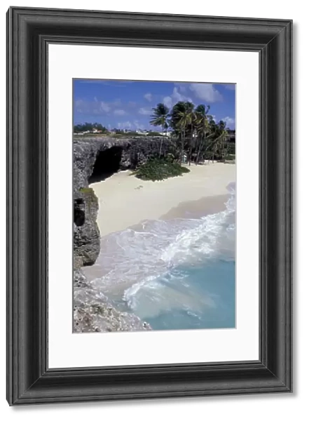 Caribbean, Barbados, St. Phillip Parish, Bottom Bay Palm Tree lined beach