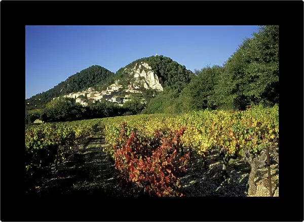Europe, France, Seguret, Vaucluse Provence vineyards in autumn