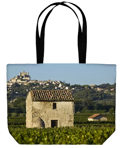 Vineyards of the Veniceient, le Barroux, Vaucluse, Provence, France