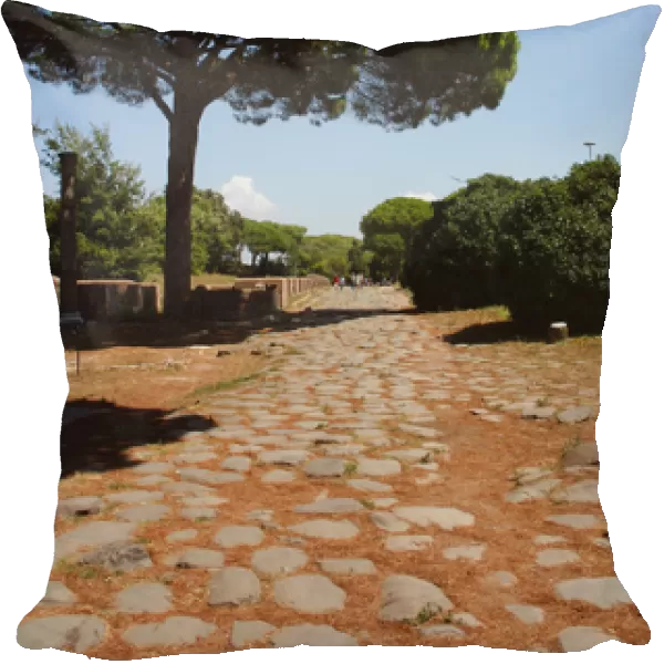 Ostia Antica. The Decumanus Maximus. Detail of the paving on a roman road