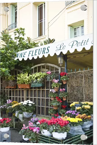 Charming flower shop. Beaulieu sur Mer. on the coastline in the South of France