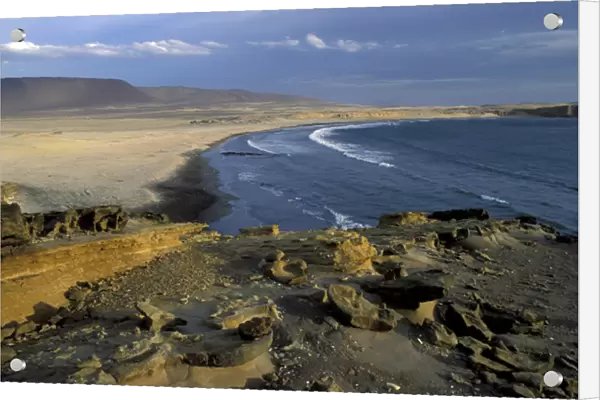 South America, Peru, Pisco, Ica Paracas National Reserve Playa Yumaque