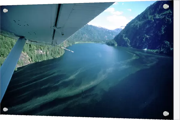 North America, United States, Alaska, Ketchikan. Flightseeing over the Misty Fjords