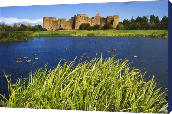 Europe, Ireland, Roscommon. View of ruins of Roscommon Castle and ducks on pond. Credit as