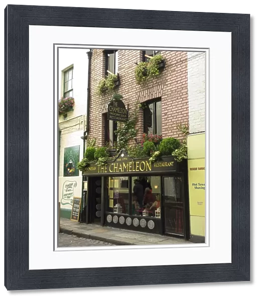 IRELAND, Dublin. Temple Bar. The Chameleon restaurant