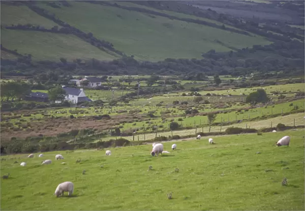 Irish Countryside, Ireland, Castle, Stone fence